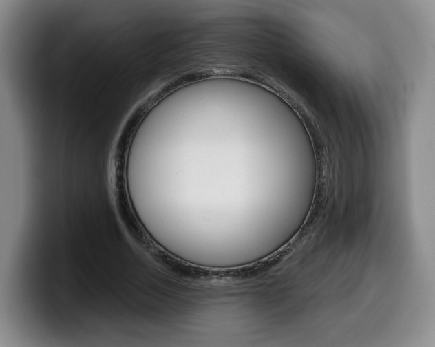 X0000099450730200805090727