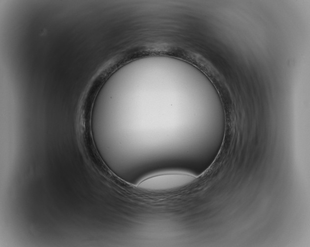 X0000099450731200805090727
