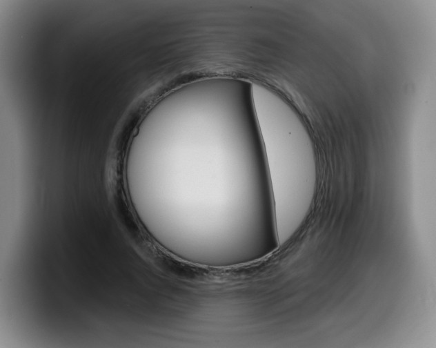 X0000099450736200805090727