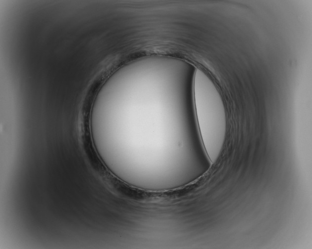 X0000099450738200805090727