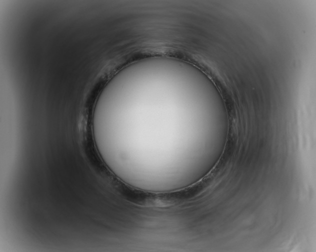 X0000099450739200805090727