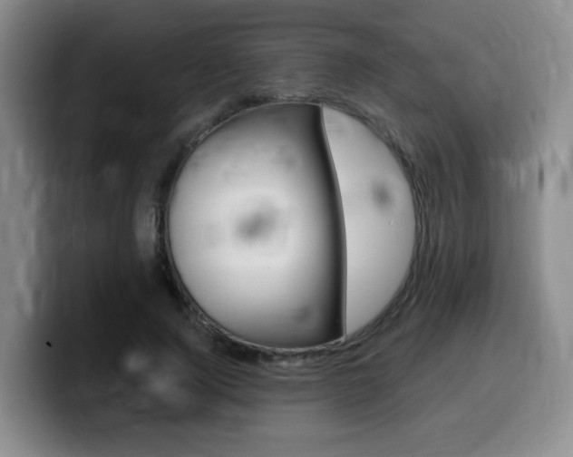 X0000099450740200805090727