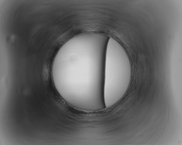 X0000099450741200805090727