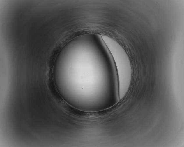X0000099450750200805090727