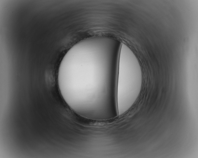 X0000099450751200805090727