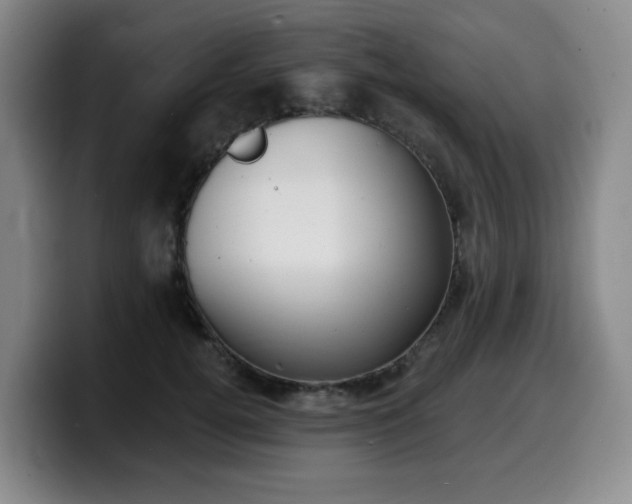X0000099450752200805090727