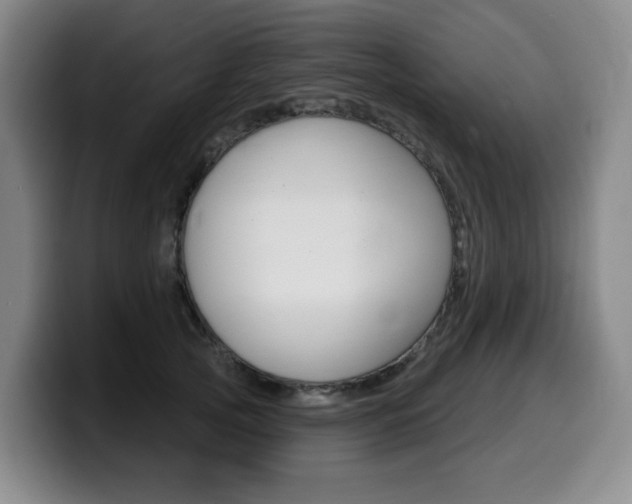 X0000099450753200805090727