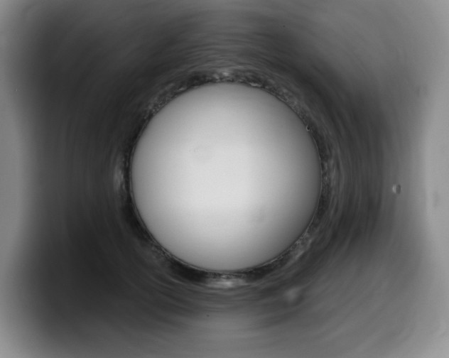 X0000099450754200805090727