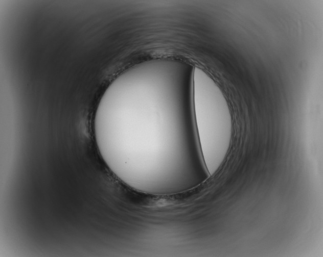 X0000099450755200805090727