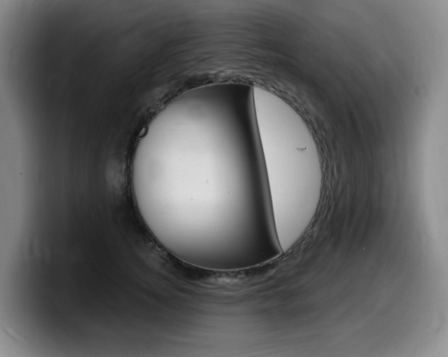 X0000099450756200805090727