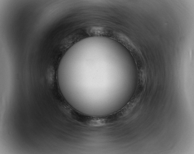 X0000099450760200805090727