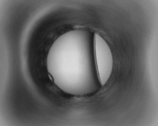 X0000099450763200805090727