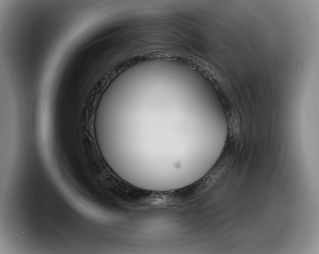 X0000099450764200805090727