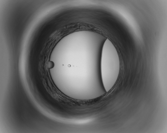X0000099450765200805090727