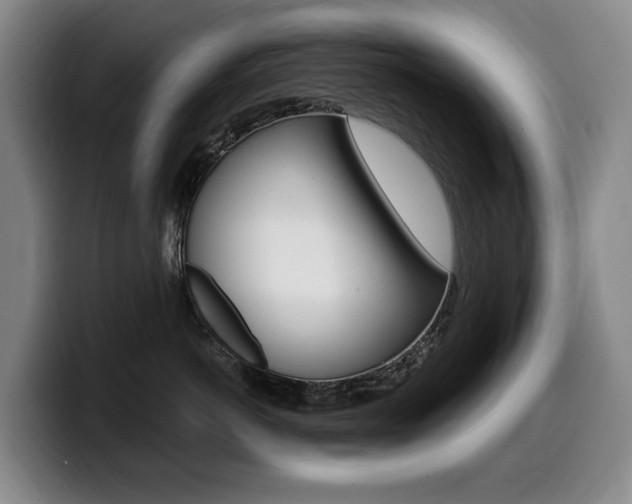 X0000099450766200805090727