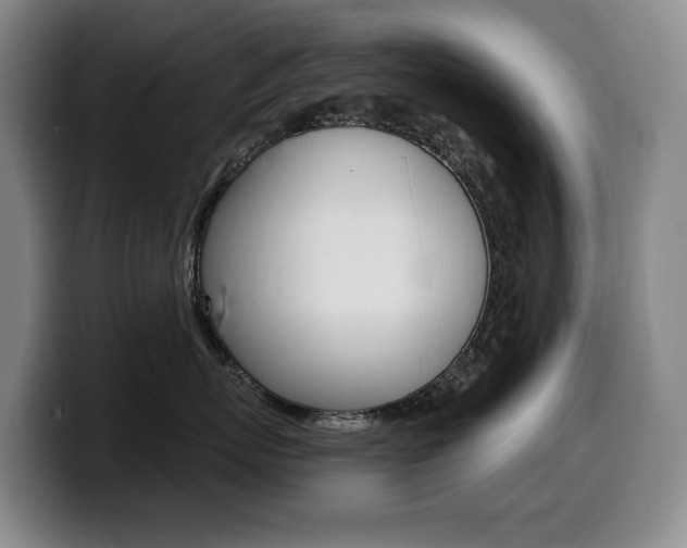X0000099450767200805090727