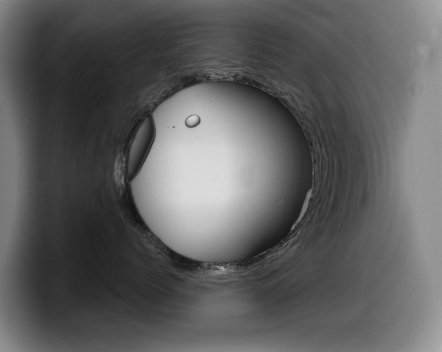 X0000099450768200805090727