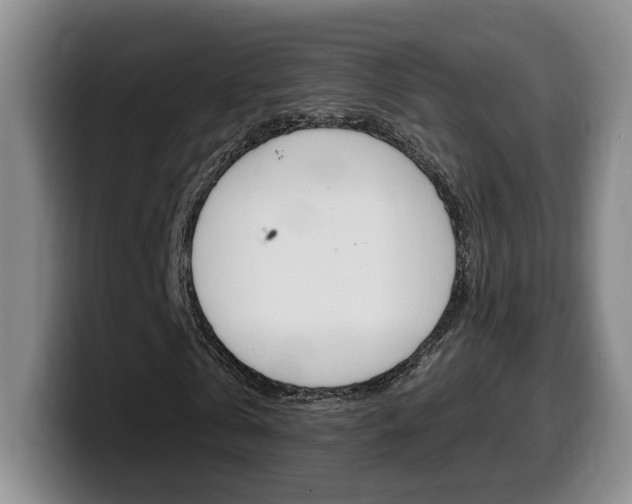 X0000099450769200805090727