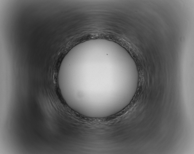 X0000099450770200805090727