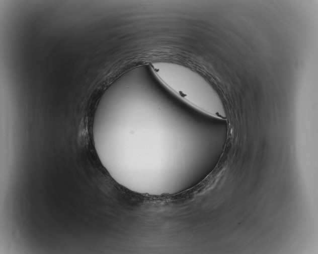 X0000099450771200805090727