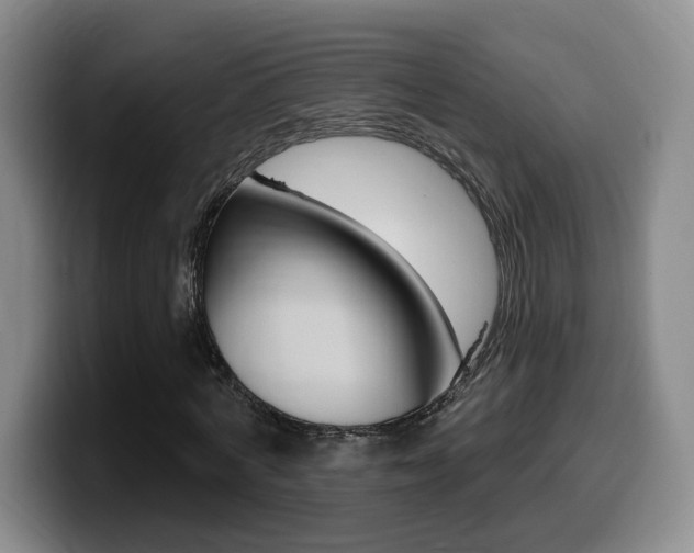X0000099450772200805090727