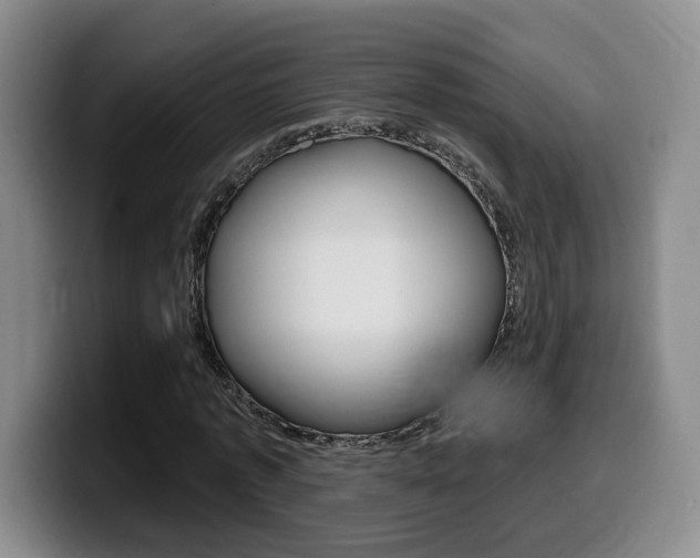 X0000099450773200805090727