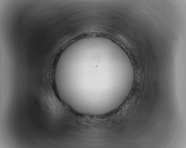 X0000099450774200805090727