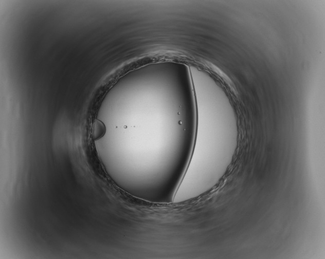 X0000099450775200805090727