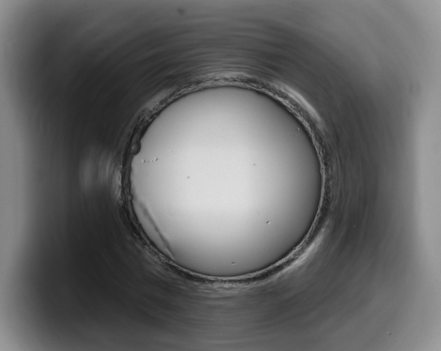 X0000099450777200805090727