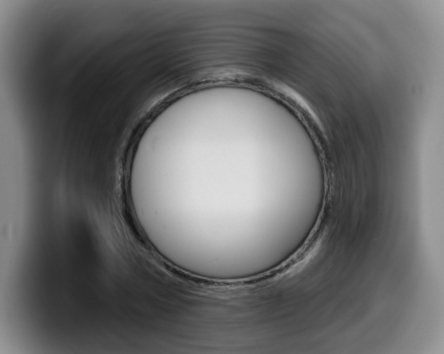 X0000099450778200805090726
