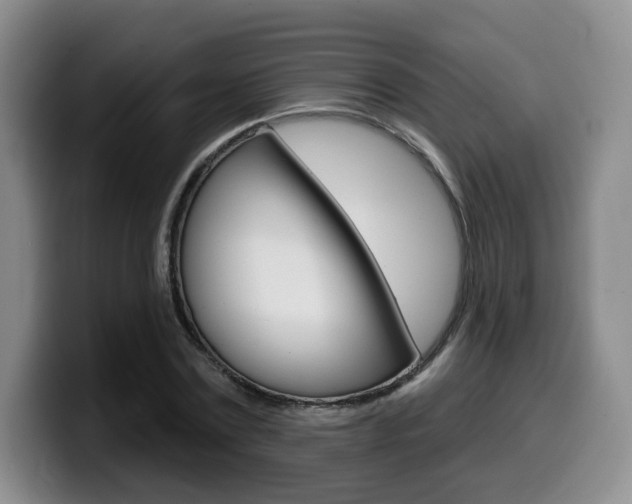 X0000099450779200805090726