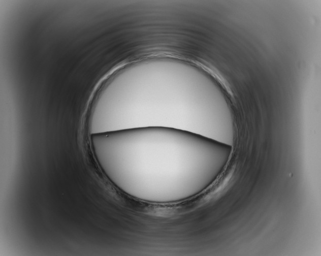 X0000099450782200805090726