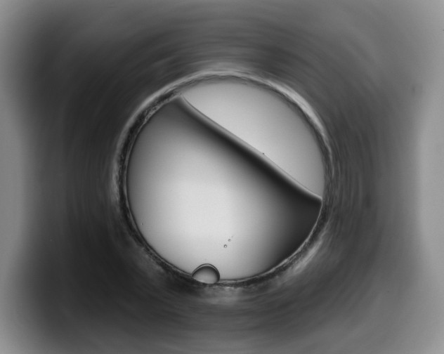 X0000099450783200805090726