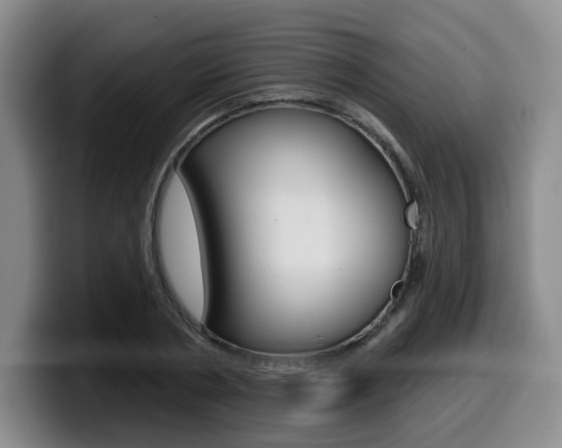 X0000099450786200805090726
