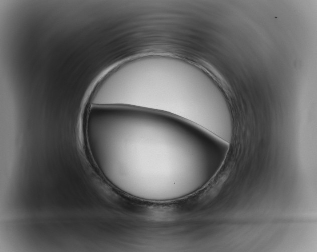 X0000099450788200805090726