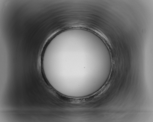 X0000099450790200805090726