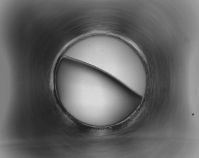 X0000099450791200805090726