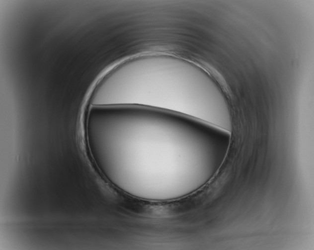 X0000099450792200805090726