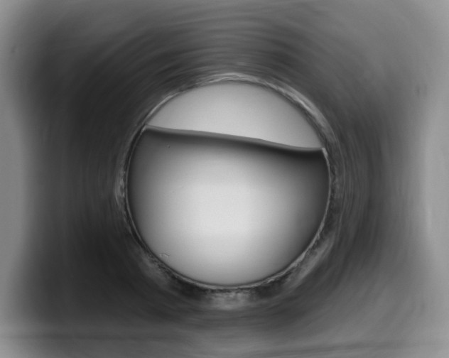 X0000099450793200805090726