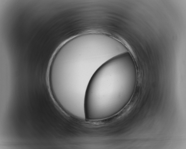 X0000099450795200805090726