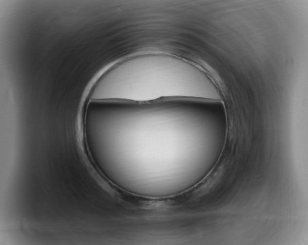 X0000099450796200805090726