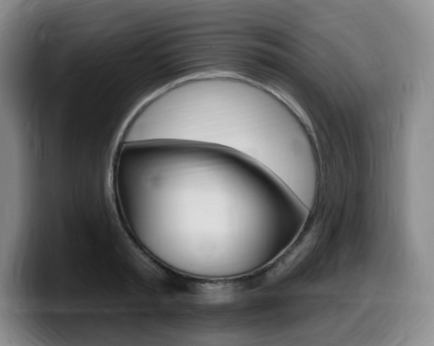 X0000099450797200805090726