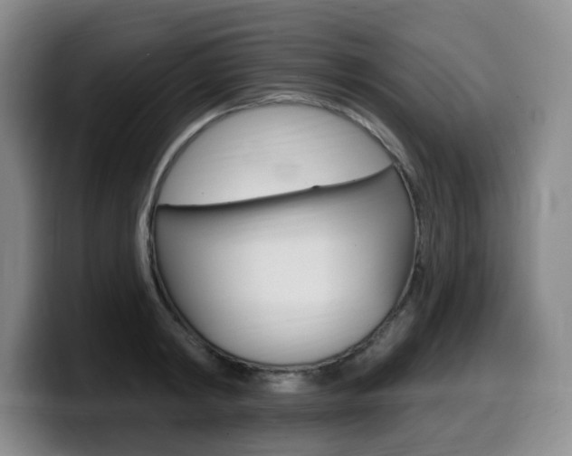 X0000099450798200805090726