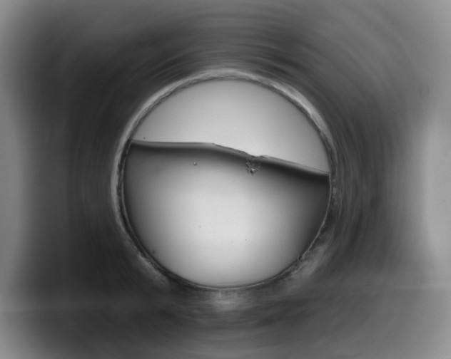 X0000099450799200805090726
