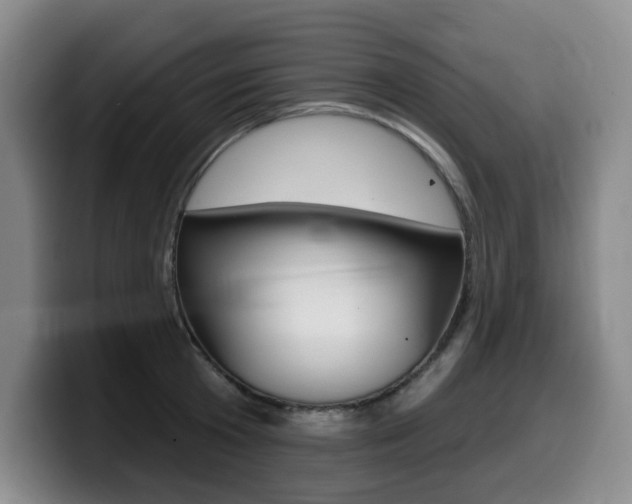 X0000099450801200805090726