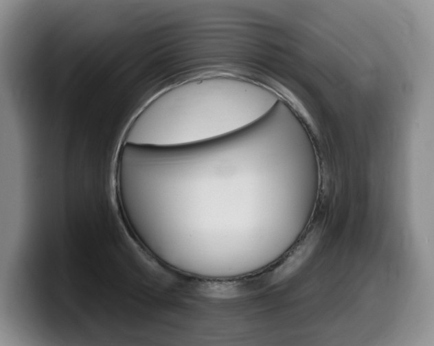 X0000099450802200805090726