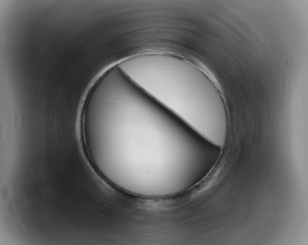 X0000099450803200805090726