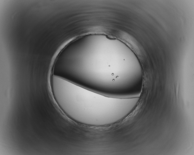 X0000099450804200805090726