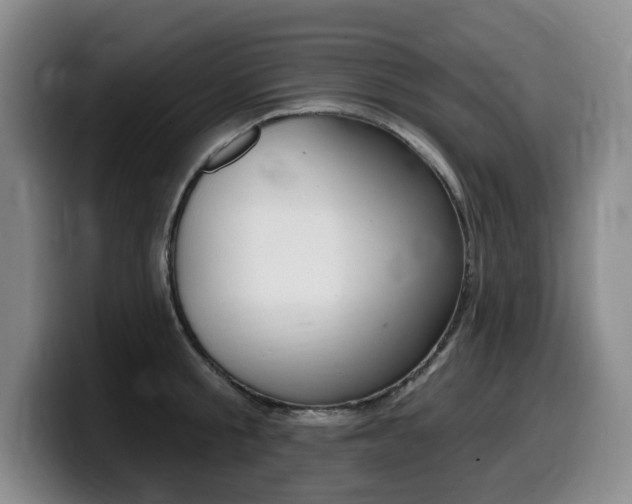 X0000099450805200805090726