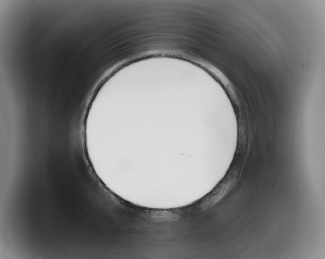X0000099450807200805090726